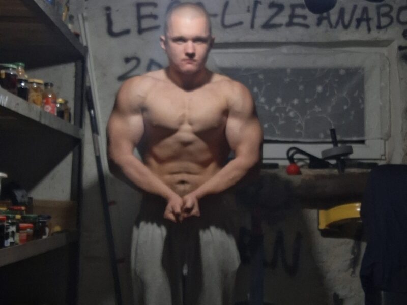 Trener online plany/prowadzenia